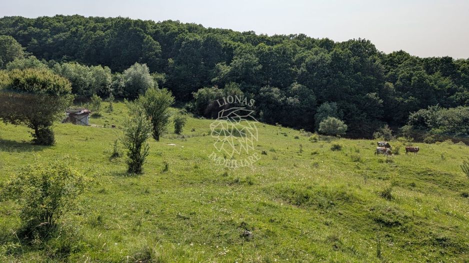 Teren 650 mp extravilan- 1,4 km de centru- ideal cabana- Oportunitate - Poză 1