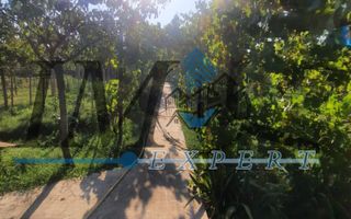 Casa in Sebeș de vânzare - Poză 9