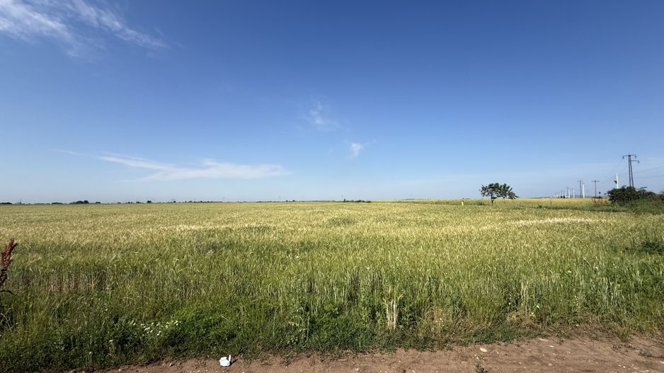 Teren 10 hectare pretabil pt panouri solare-Aricesti Rahtivani - Poză 3