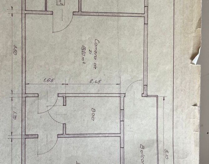 Parc Bazilescu - Poză 10