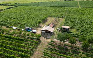 Vie Tradițională „Halta Lupilor” - Poză 41