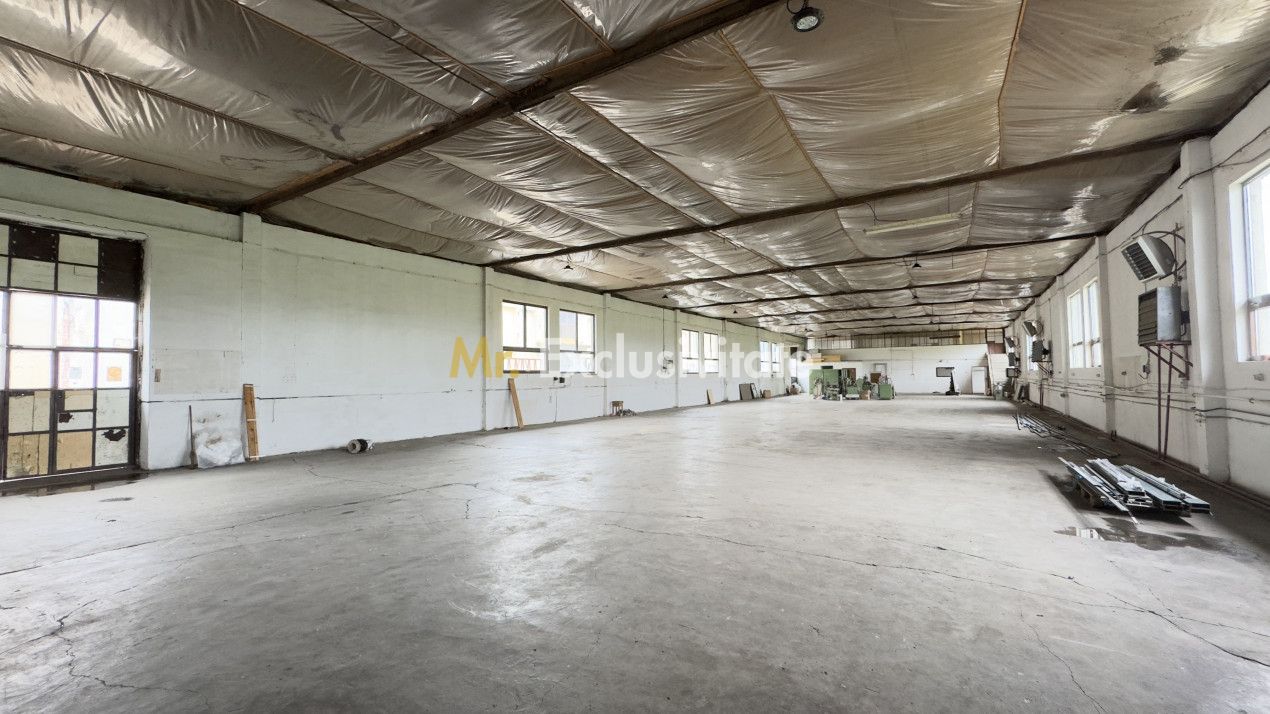 Clădire Industrială Hală Producție, Depozitare, Birouri-Teren 3140 mp - Carei - Poză 4