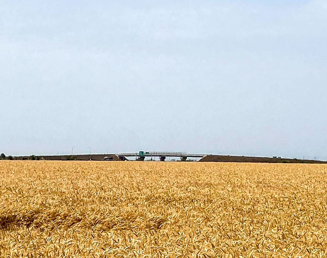 Locația Ideală Industrial | Intravilan 15 273 mp langa A3 - Poză 1