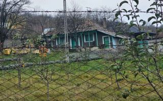 Casa + teren generos 5000 mp intravilan cu livada tanara si vita de vie productiva. - Poză 3