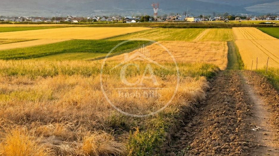 Teren intravilan de vanzare in Alparea, Bihor - Poză 3