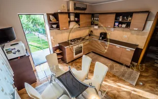 Palazu Mare / Elvila -  Vanzare Vila  D+P+1E cu teren de 996 mp - Poză 23