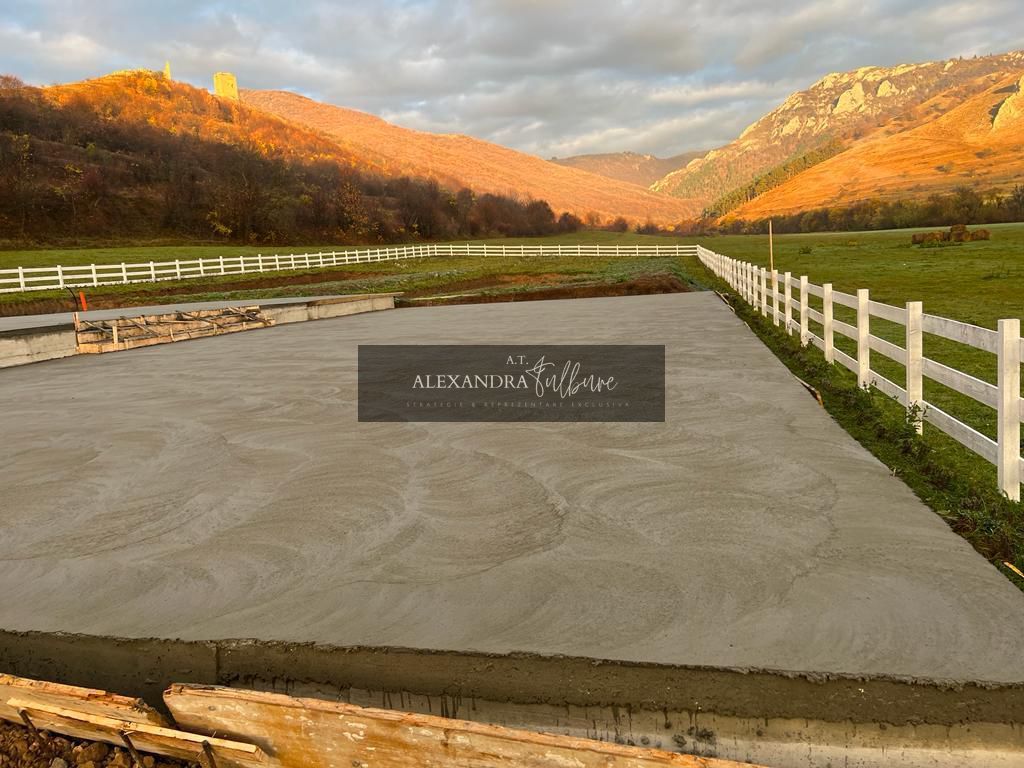 Teren de vanzare – Rimetea, Alba | 9000 mp - Poză 7
