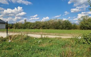 Teren de vânzare – 13 ari - Poză 6