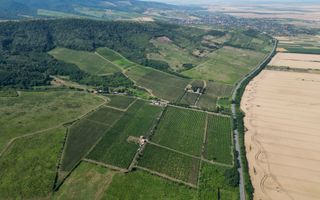 Vie Tradițională „Halta Lupilor” - Poză 30