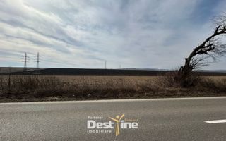 Teren de vanzare Caciulesti 11.000Euro 1300mp - Poză 4