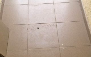 Garsonieră Premium,  NOUA / Parcul Teilor / Parcare inclusa - Poză 13