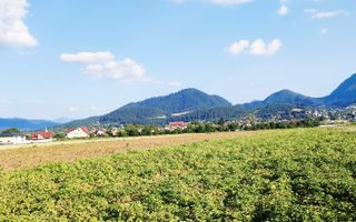 teren intravilan in Sacele-Baciu - Poză 5