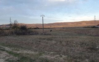 Teren intravilan zona Candesti BZ 10.000mp d=52m la DN10 Pret: 12 mp neg. - Poză 4