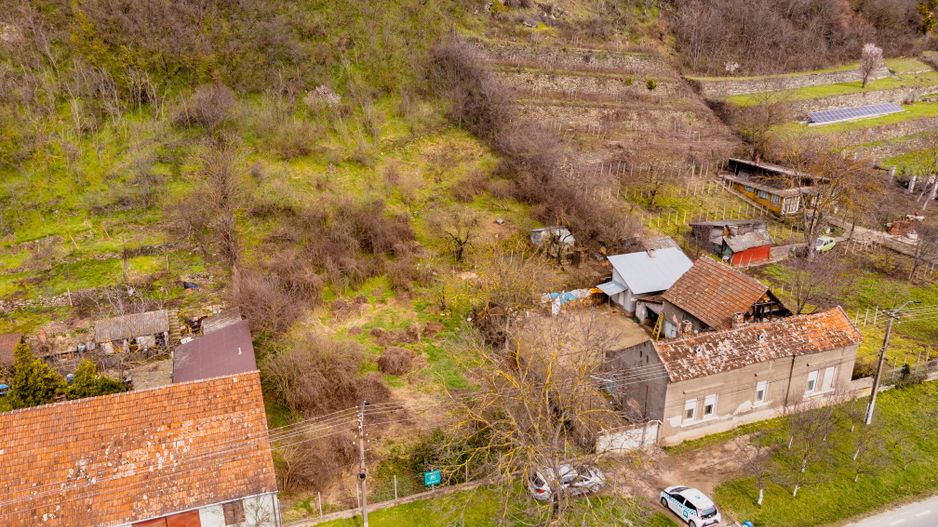 Teren Intravilan Pauliș - Poză 9