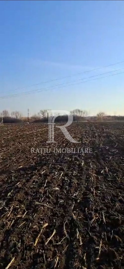 Teren Intravilan | 1780 mp | Sânmartin - Poză 8