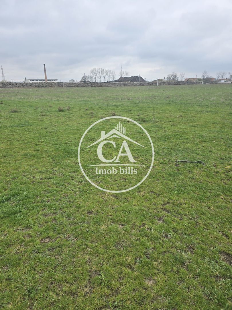 Teren extravilan 150.000 mp de vânzare in Tileagd, Bihor - Poză 2