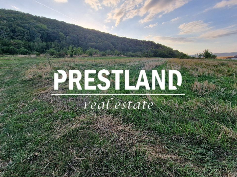 Teren pretabil cabana zona Poplaca  - Poză 2