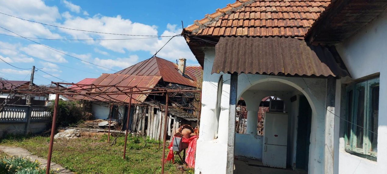 Casă cu hală industrială Drăguțești - Poză 3