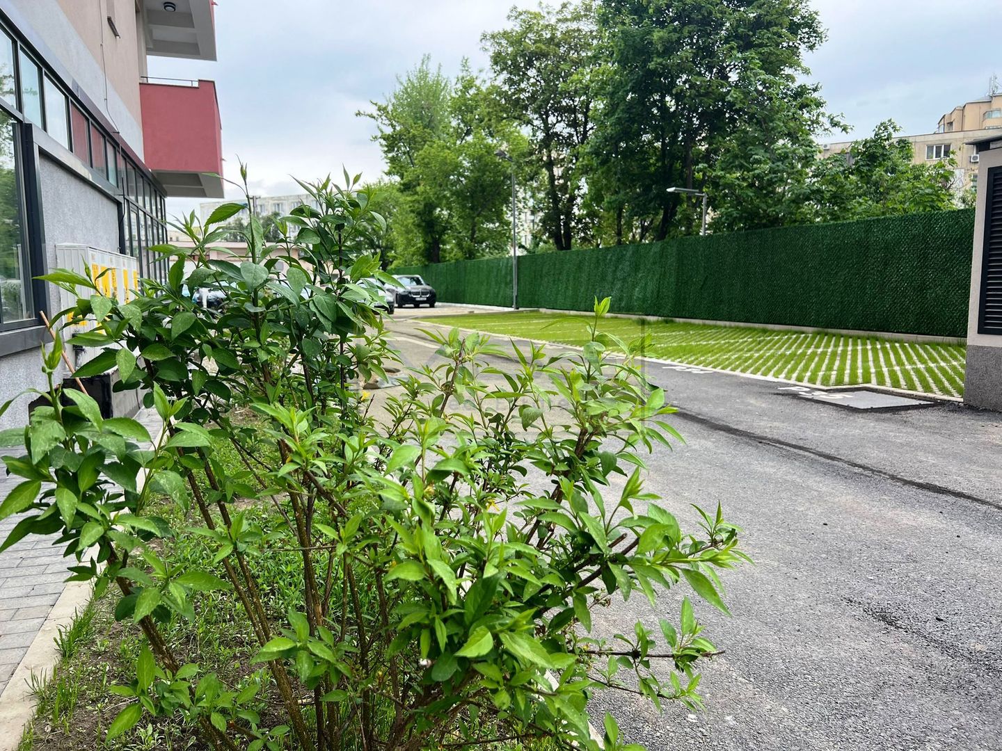 Spatiu comercial / Office NOU Podu Ros - Piata Nicolina - Poză 2