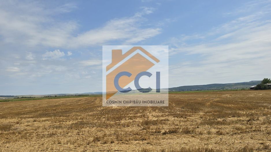 Teren intravilan– 50.000 mp, Bacău, Șoseaua Hol - Poză 5