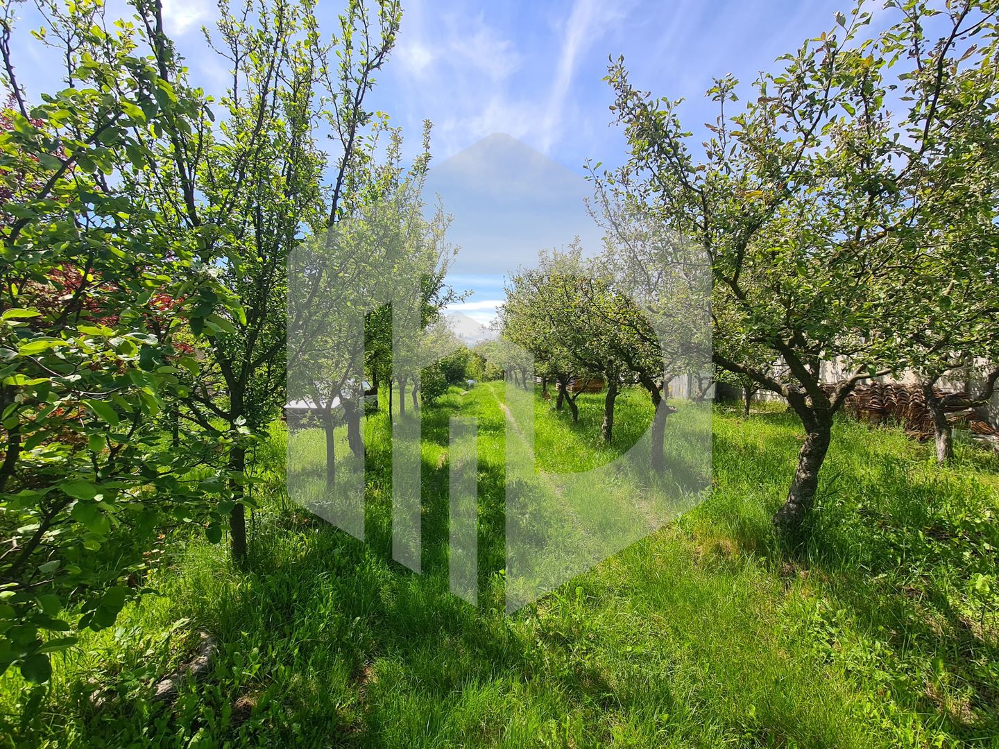 Casa de vanzare - IDEAL INVESTITIE - 1652mp teren - Daia - 105mpu - Poză 6