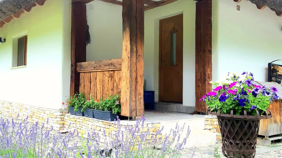 Casa traditionala de vis, aproape de Cluj-Napoca - Poză 21