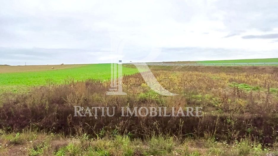Teren Investiție | 25 €/mp | Acces Drum Metropolitan OSORHEI - Poză 6