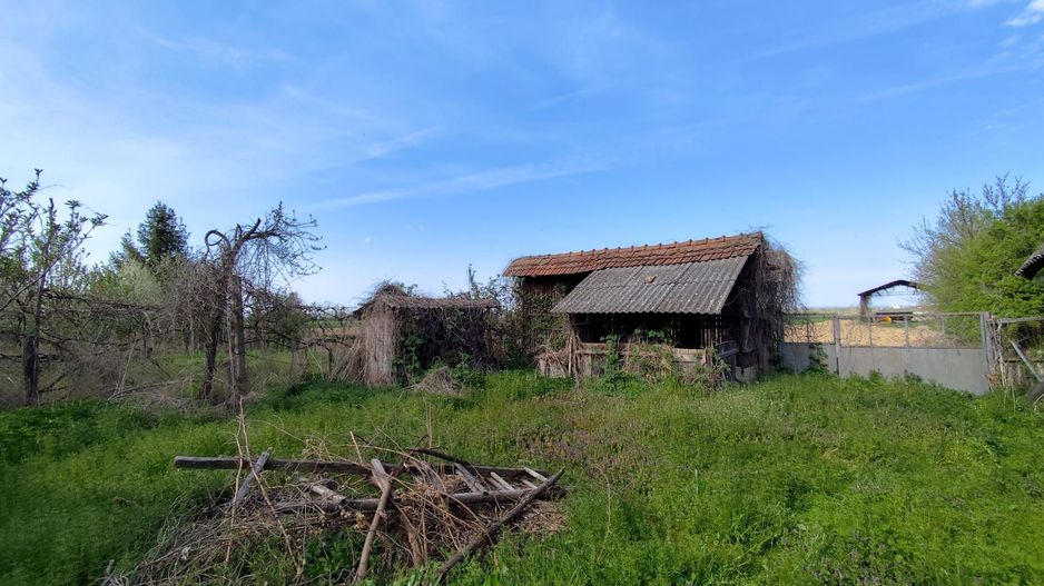 Casa la tara, gaz, acces auto, teren 4122 mp – Petid, Bihor – VANZARE - Poză 14