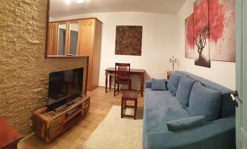 Garsoniera de inchiriat Timpuri Noi - Poză 2