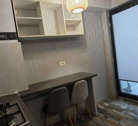 GARSONIERA - BALTA ALBA, PET-FRIENDLY, PRIMA INCHIRIERE, PARCARE - Poză 4