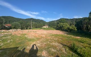 TEREN INTRAVILAN 3296 MP CAMPULUNG ARGEȘ - Poză 8