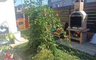 Casă individuală, 3 camere, plan parter, în spate la Lidl Bucium, construcție 2018 - Poză 7