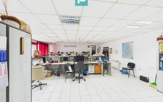 Hală de producție, cu birouri și teren, în Sebiș - Poză 8