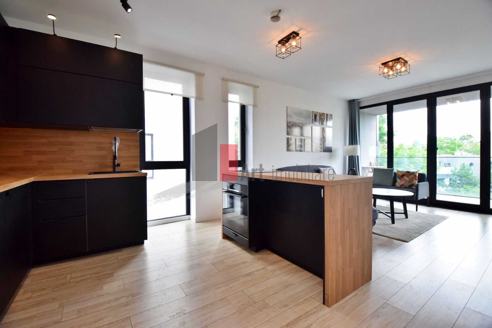 Apartament Herastrau - Poză 4