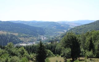 Terenuri Carpinis I parcelabil I Curent pe proprietati - Poză 4