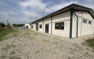 Inchiriere Hală Producție/Depozitare 300 mp, Teren 1791 mp - Carei - Poză 3