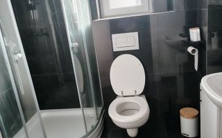 Apartament 2 camere de vanzare, cartier Visoianu, etaj 1, bloc 19, Lunca Cetatuii - Poză 3