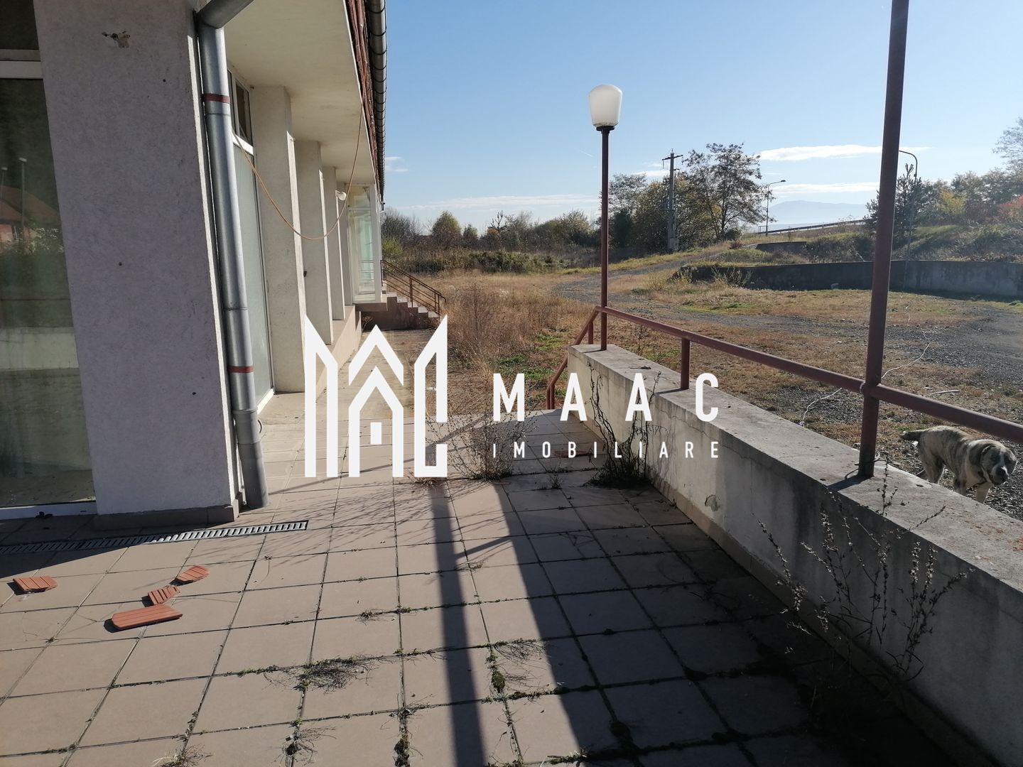 Teren 20000 mp I 3 corpuri cladire I Cristian - Poză 13