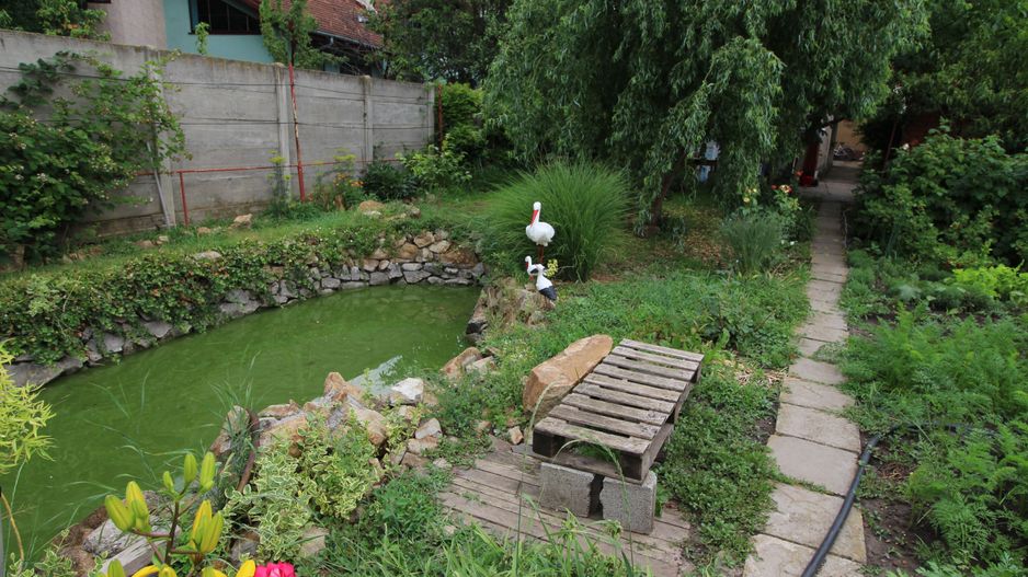 CASA CU TEREN MARE IN ZONA MEHALA - Poză 15