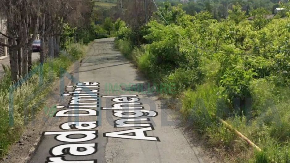 Teren intravilan 1000mp Bucium Iași - Poză 4