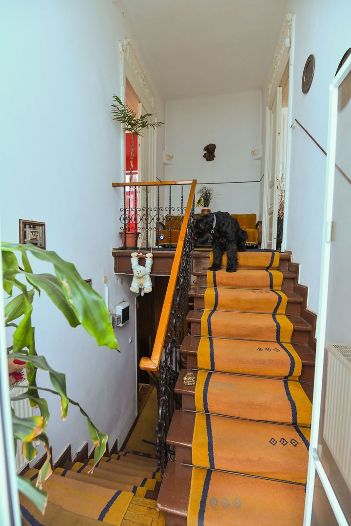 Casa individuală | Strada Plantelor | Curte proprie - Poză 8