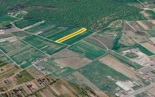 Teren 10.000 mp în Ciolpani | Deschidere la șosea | Pădurea Snagov - Poză 3