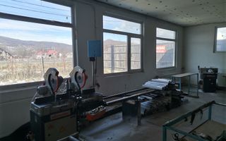 Vanzare hala atelier, stradal, Stalpeni - Poză 7