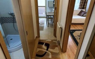 Apartament 1 cameră, Visoianu, Lunca Cetățuii – de închiriat - Poză 4