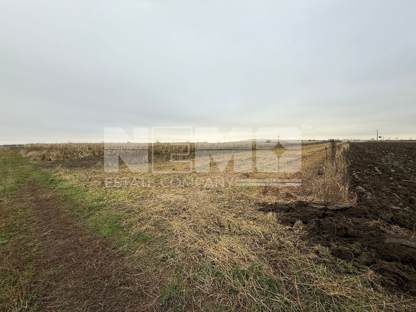 Parcela teren agricol 50 Ari - Poză 2