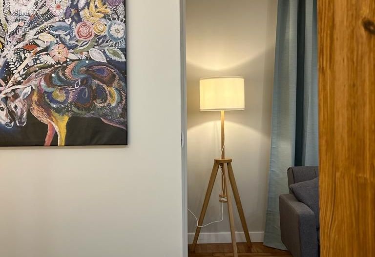 Studio exclusivist in zona Garii de Nord - Poză 8