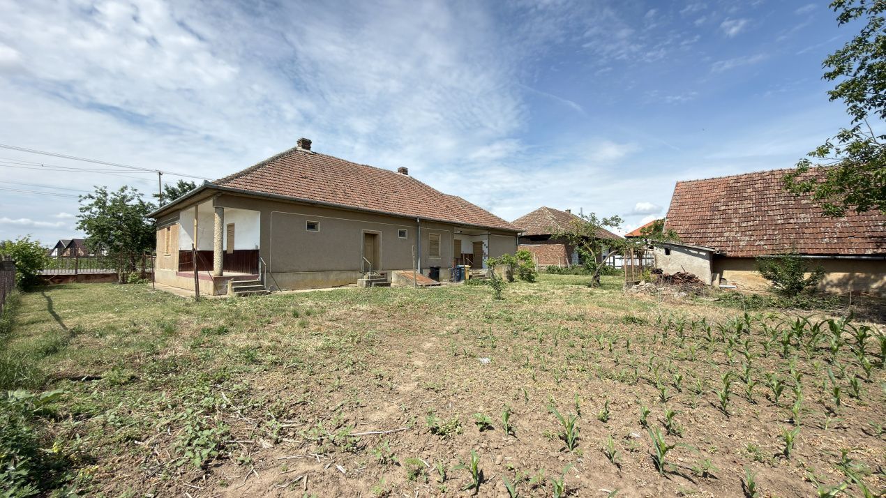 Casă 4 camere, Teren 1955 mp Str. Vezendiului Nr. 366 - Loc. Petrești, Satu Mare - Poză 13