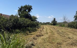 Teren intravilan 4.000 mp Comana (Budeni) | 10 €/mp negociabil | Comis - Poză 7