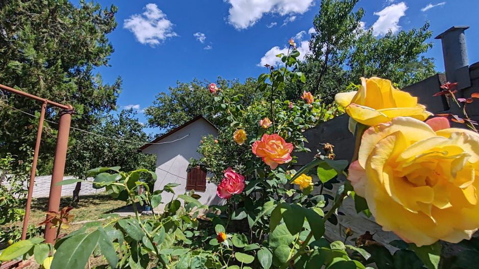 Casa si gradina-95000euro-Picioru Lupului-Comuna Ciurea - Poză 8
