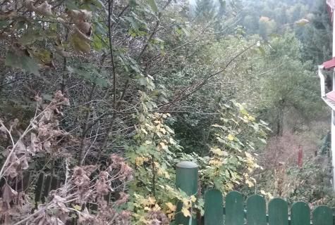 teren intravilan Azuga - Poză 3